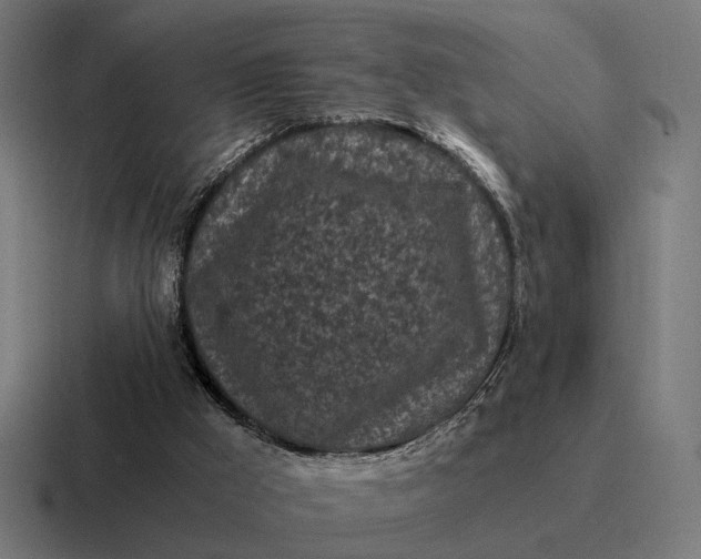 X0000116800009200912311945