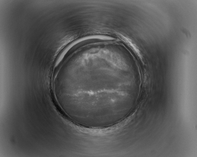 X0000116800010200912311945