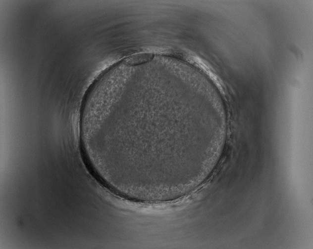 X0000116800011200912311945