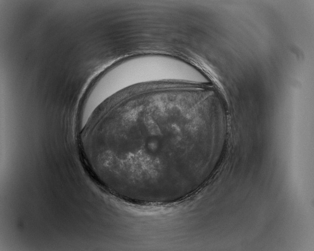 X0000116800012200912311945