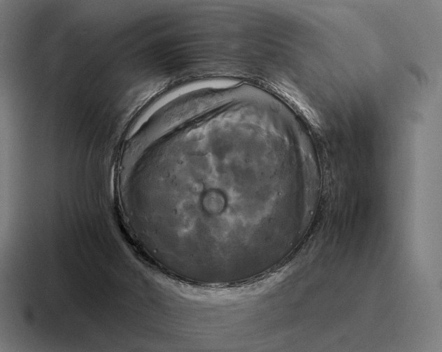 X0000116800014200912311945