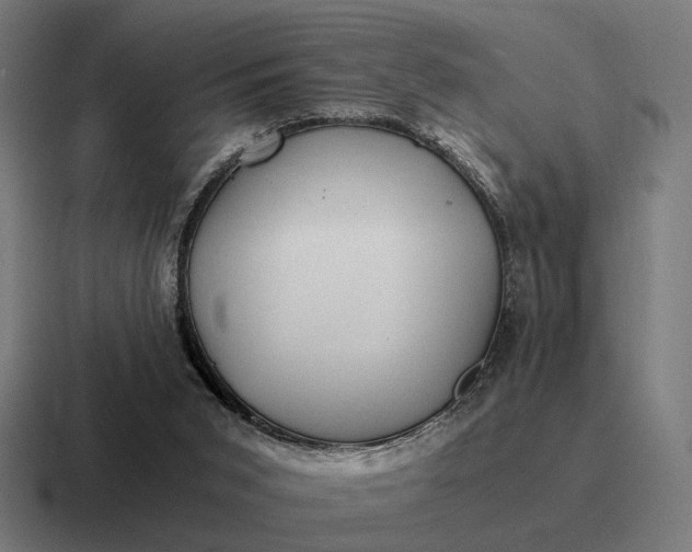 X0000116800015200912311945