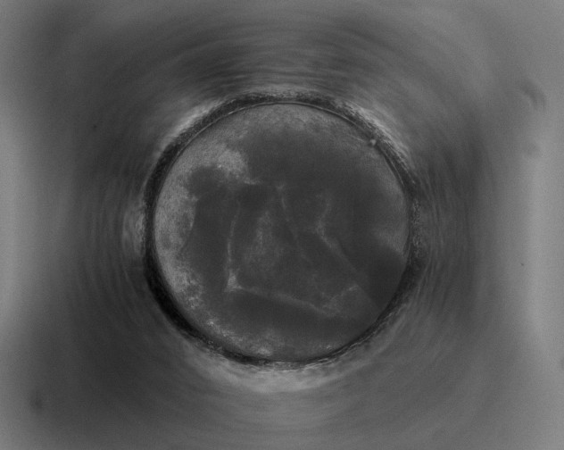 X0000116800016200912311945