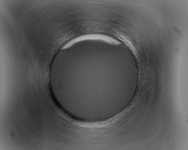 X0000116800017200912311945