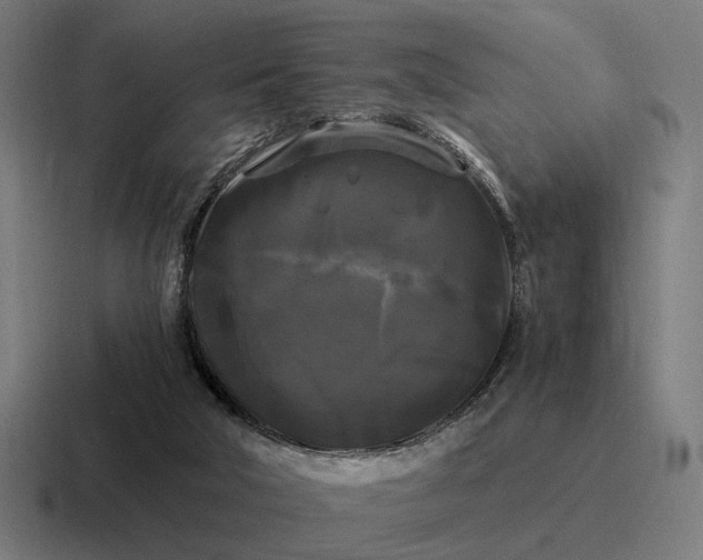 X0000116800018200912311945