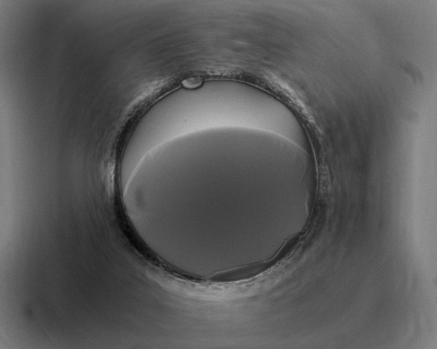 X0000116800019200912311945