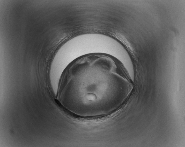 X0000116800021200912311945