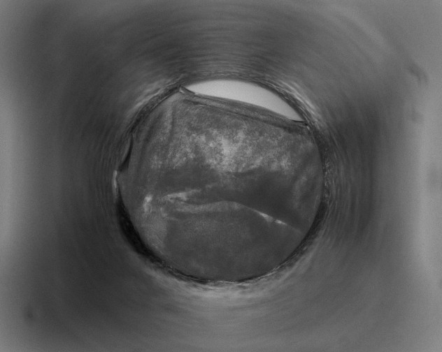 X0000116800024200912311945