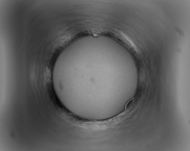 X0000116800025200912311945