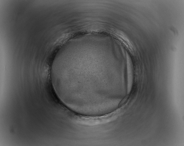 X0000116800029200912311945