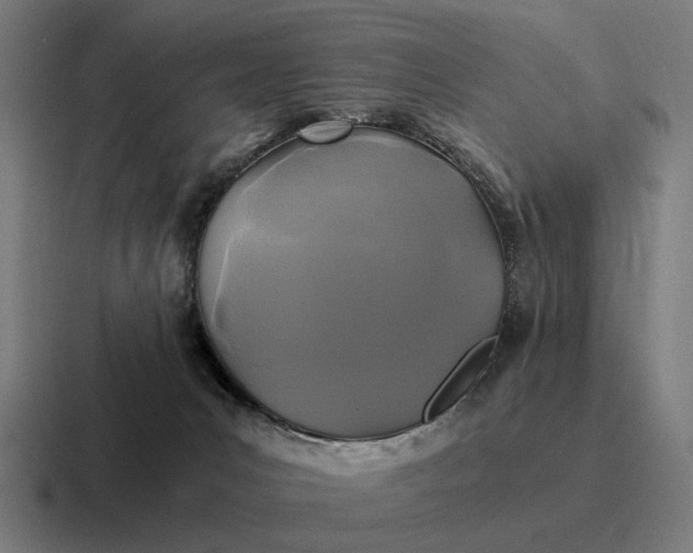 X0000116800031200912311945