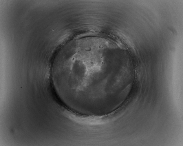 X0000116800032200912311945