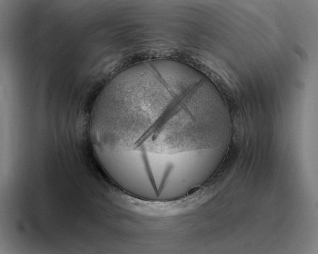 X0000116800034200912311945