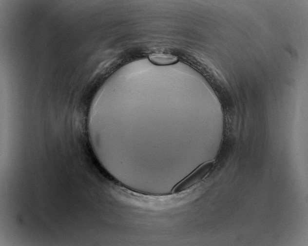 X0000116800035200912311945