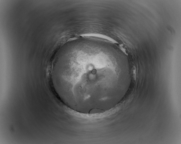 X0000116800038200912311945