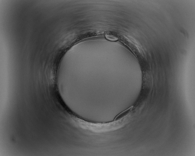 X0000116800039200912311945