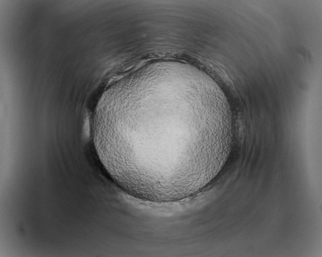 X0000116800042200912311945