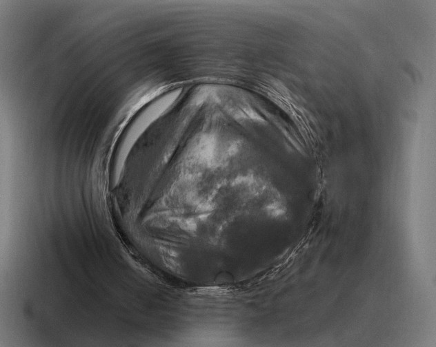 X0000116800050200912311944