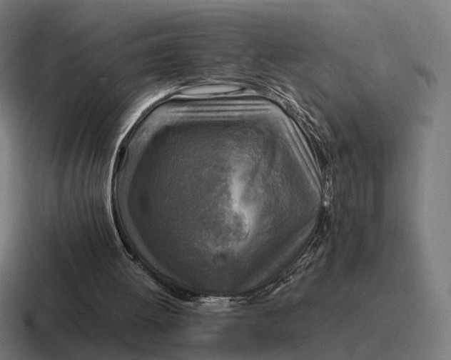 X0000116800052200912311944