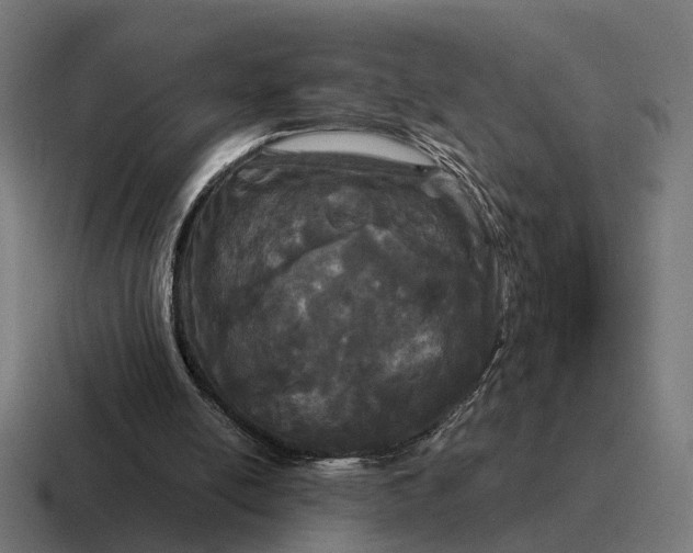 X0000116800054200912311944