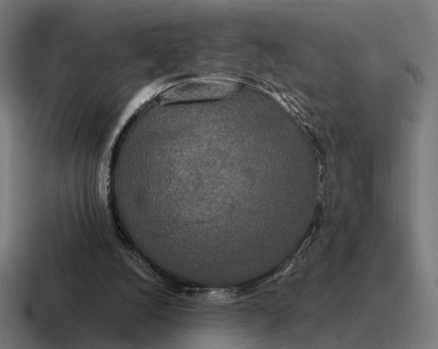 X0000116800056200912311944