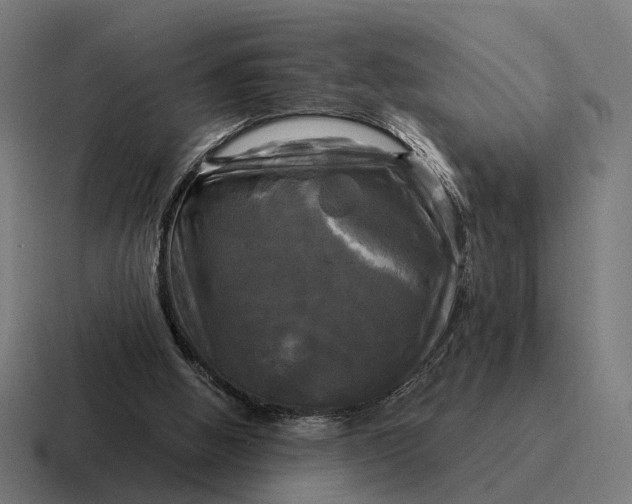 X0000116800058200912311944