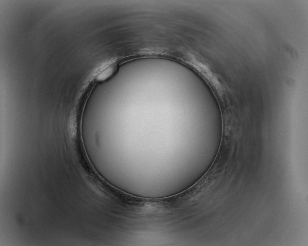 X0000116800060200912311944