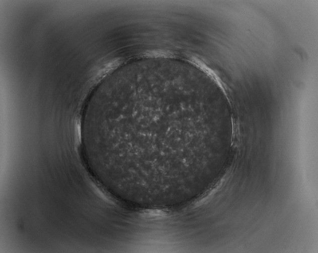 X0000116800061200912311944