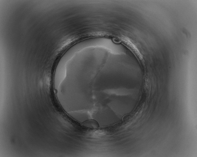 X0000116800063200912311944