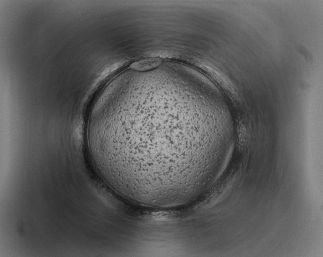 X0000116800064200912311944