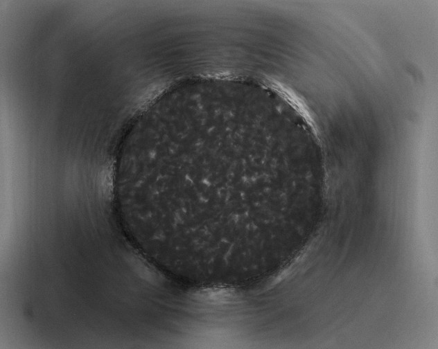 X0000116800065200912311944