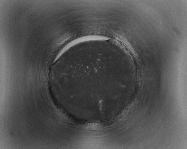 X0000116800066200912311944