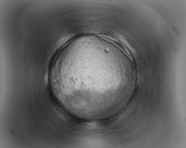 X0000116800068200912311944