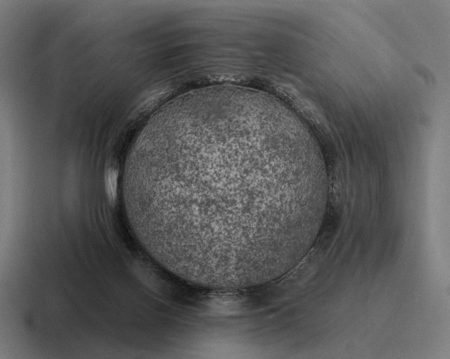 X0000116800070200912311944