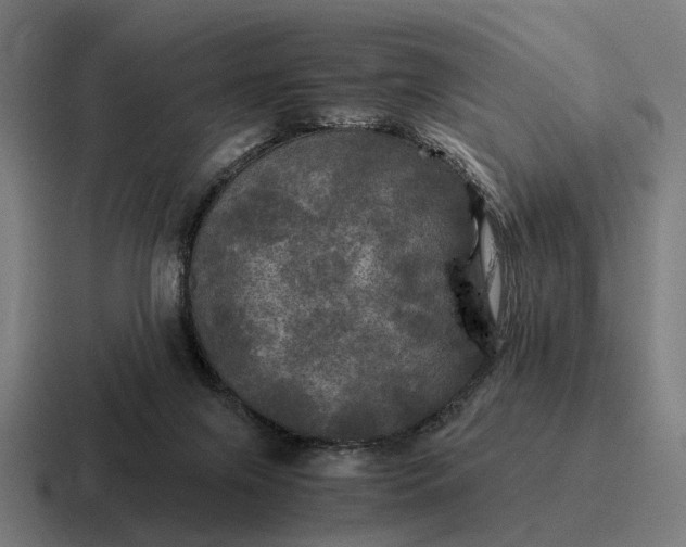 X0000116800071200912311944