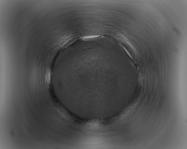 X0000116800076200912311944