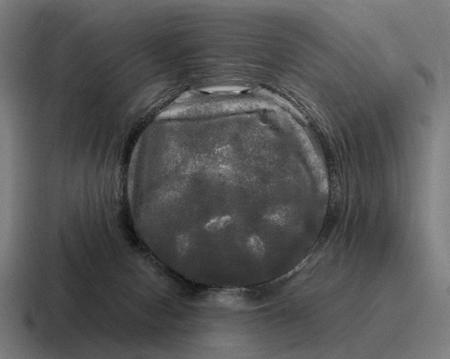 X0000116800078200912311944