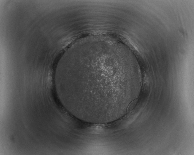 X0000116800080200912311944