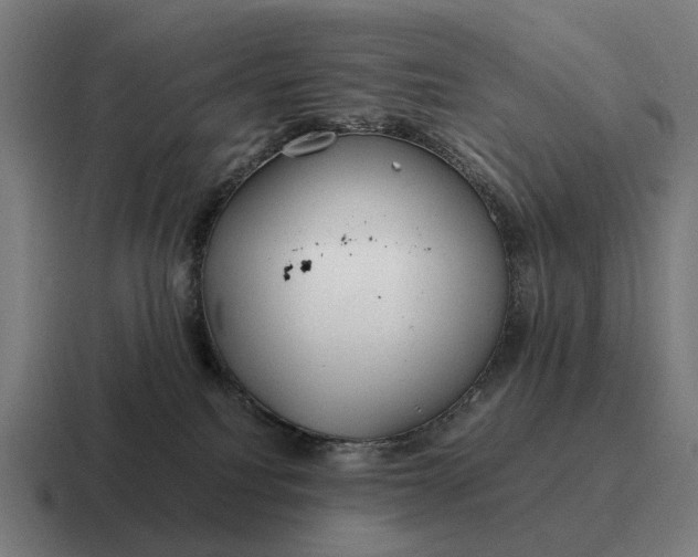 X0000116800088200912311944