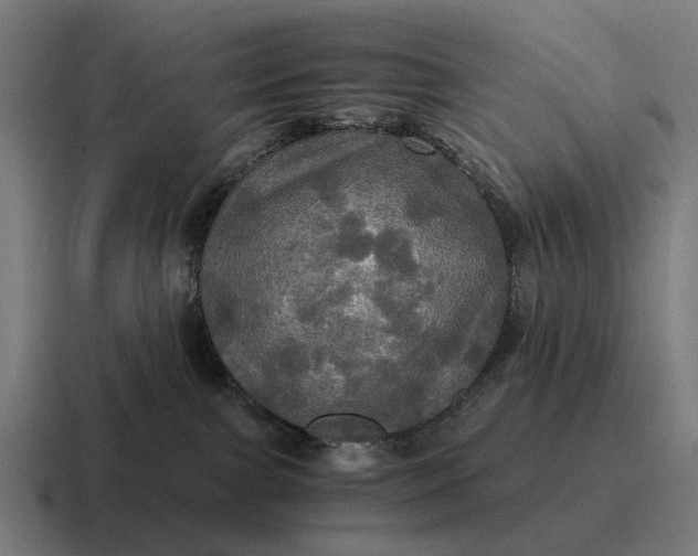 X0000116800091200912311944