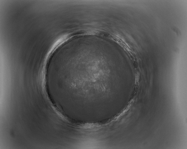 X0000116800101200912311944