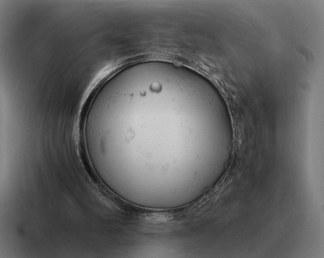 X0000116800102200912311944