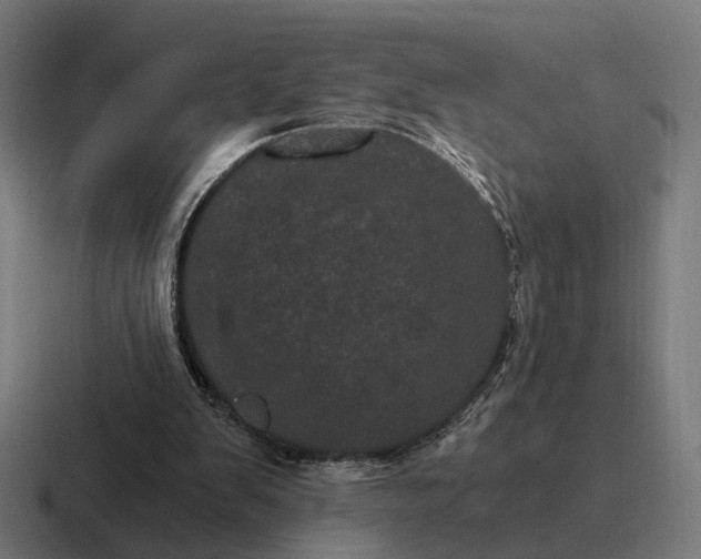 X0000116800103200912311944