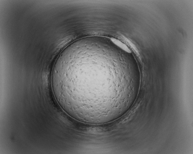 X0000116800105200912311944