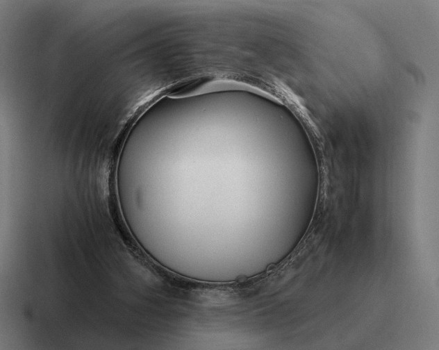 X0000116800106200912311944