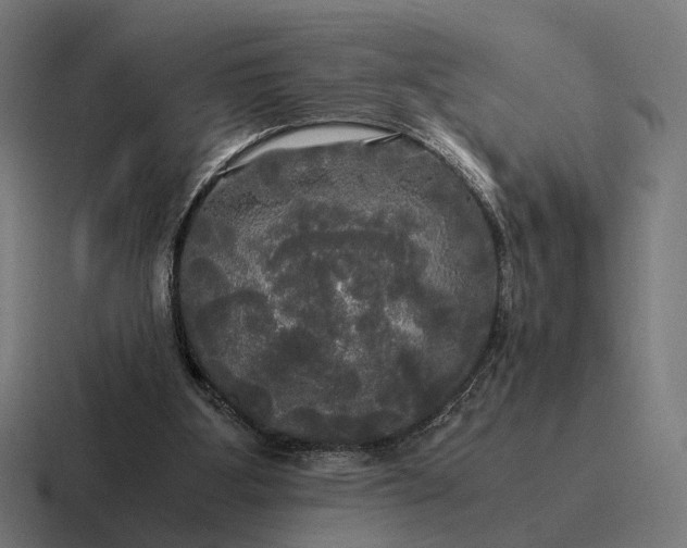 X0000116800107200912311944