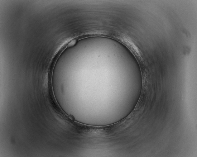 X0000116800108200912311944