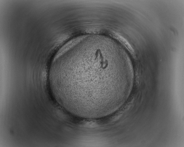 X0000116800113200912311944