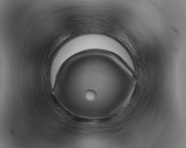 X0000116800116200912311944