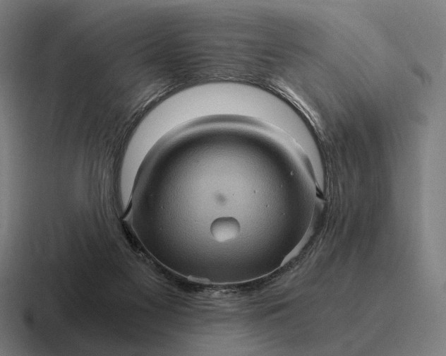 X0000116800117200912311944